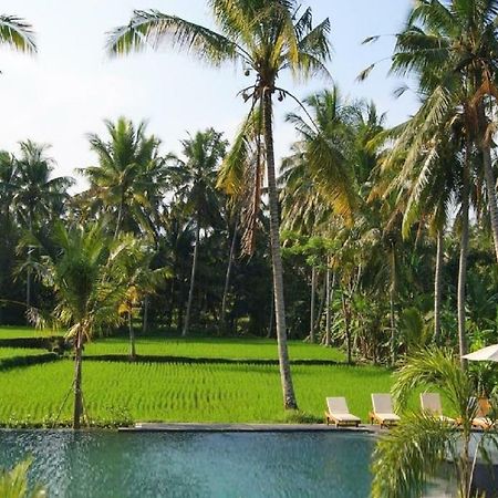 Bhanuswari Villas Ubud Zewnętrze zdjęcie