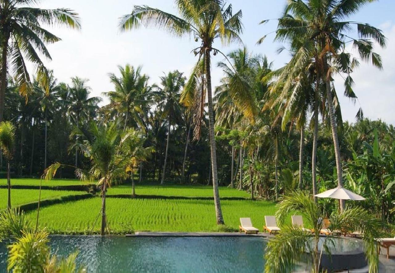Bhanuswari Villas Ubud Zewnętrze zdjęcie